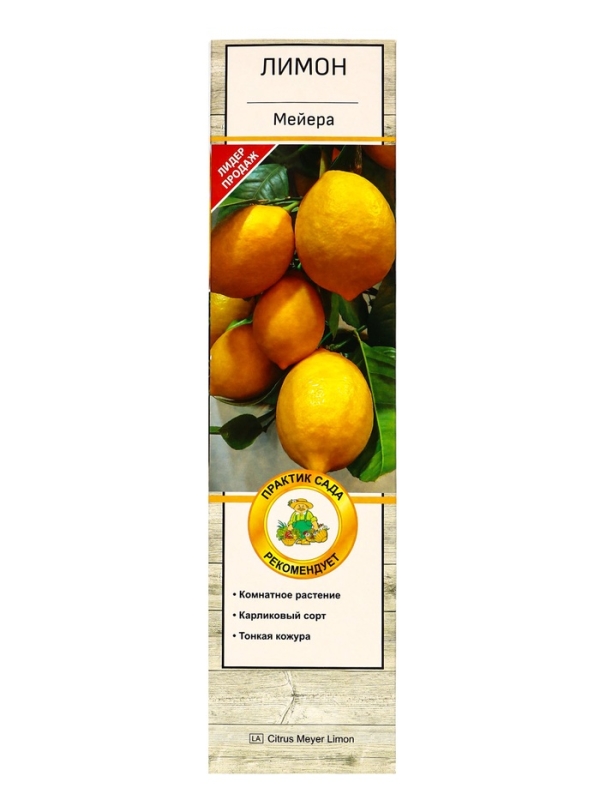 Цитрус "Лимон Мейера", туба, 1 шт, Весна 2025