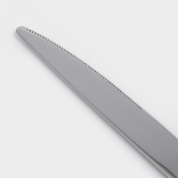 Набор ножей столовых Magistro Flow 23,5 см 6 шт, цвет серебряный