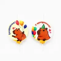 Набор свечей на шпажке "Капибара" 4 шт