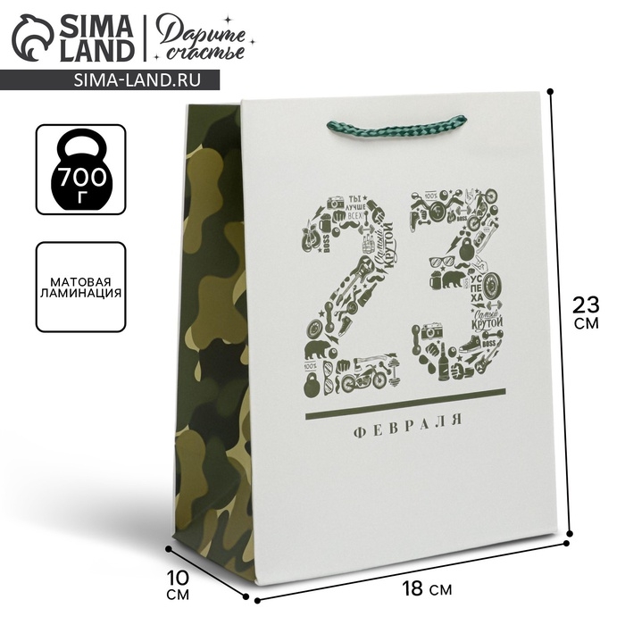 Пакет подарочный ламинированный вертикальный, упаковка, &laquo;23 февраля&raquo;, MS 18 х 23 х 10 см