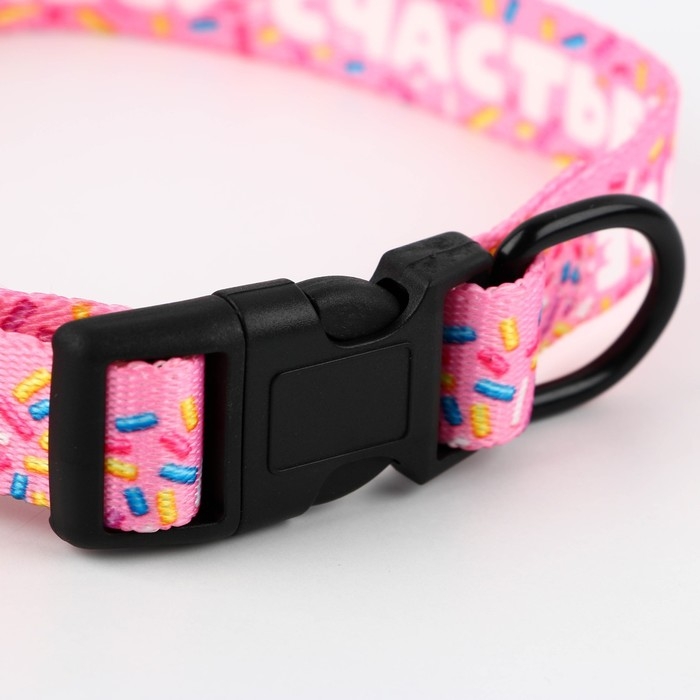 Ошейник &laquo;Несу счастье&raquo;, застёжка - фастекс, 2 см 25-40 см