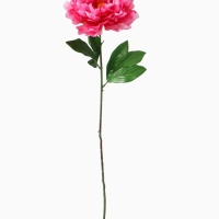 Цветы искусственные "Пион бархатный" 15х55 см, розовый