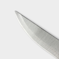 Нож для овощей кухонный Доляна &laquo;Триколор&raquo;, лезвие 8,5 см