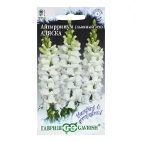 Семена цветов Антирринум (Львиный зев)"Аляска", ц/п,   серия Устойчив к заморозкам, 0,05 г