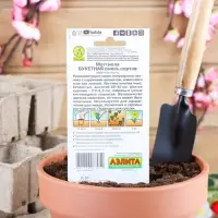 Семена  цветов Маттиола Левкой "Букетная", смесь окрасок, О, 0,2 г