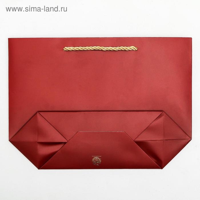 Пакет подарочный, упаковка, Present for you, 19 х 20 х 9 см