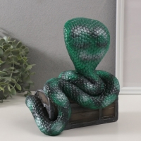 Копилка"КОБРА НА СУНДУКЕ " 20 х 17 х 12 см. Копилка"КОБРА НА СУНДУКЕ " 20 х 17 х 12 см.