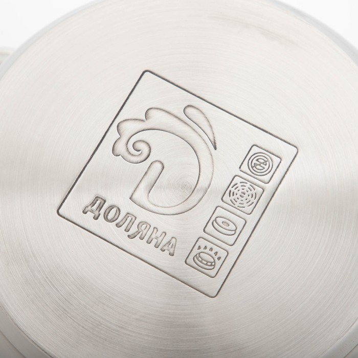 Кастрюля с крышкой из нержавеющей стали Доляна &laquo;Классика&raquo;, 3 л, d=20 см