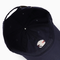 Кепка "Бейсболка" детская, цвет синий, размер 50-52 Кепка "Бейсболка" детская, цвет синий, размер 50-52