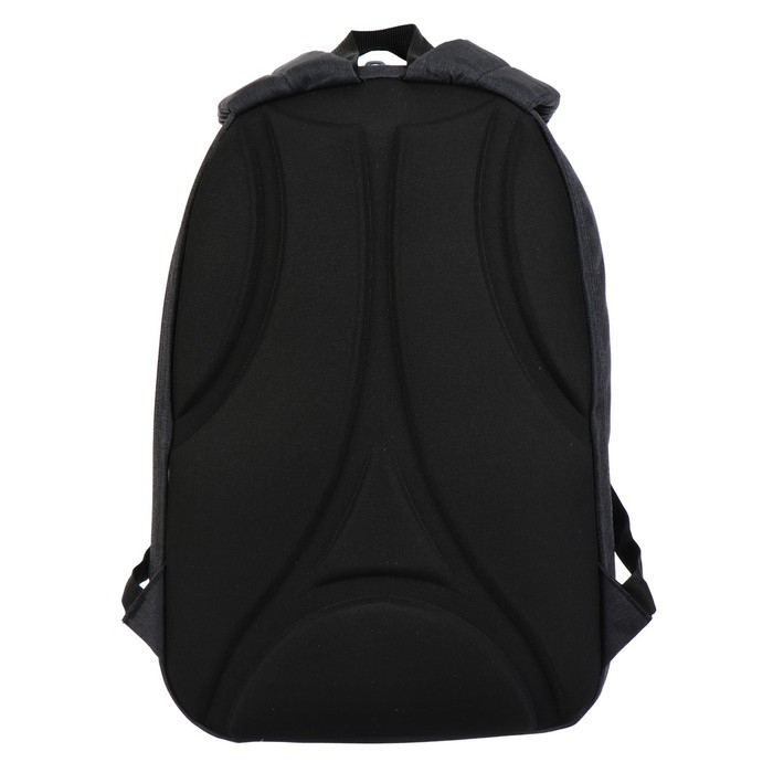 Рюкзак молодёжный, 38 х 28 х 19 см, эргономичная спинка, Calligrata Э "Листья", чёрный