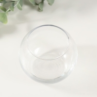 Набор для выращивания растений "Вырасти травку" шар прозрачный