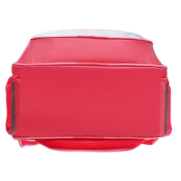 Рюкзак школьный, 37 х 27 х 16 см, эргономичная спинка, Calligrata Б "Зайка"