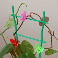 Клипса для растений &laquo;Бабочка&raquo;, набор 10 шт., МИКС