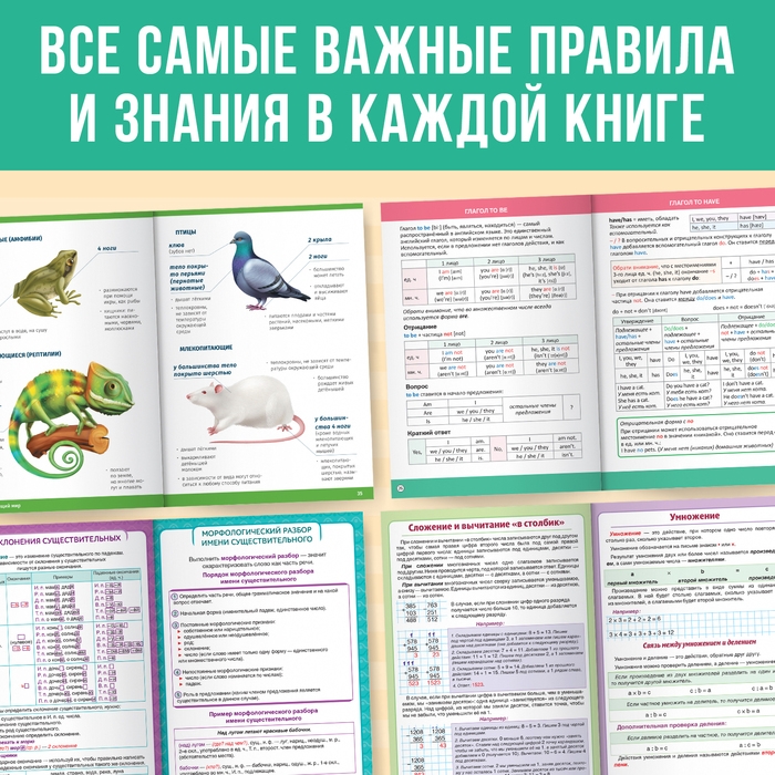 Набор &laquo;Сборники шпаргалок для начальной школы&raquo;, 4 книги, 7+