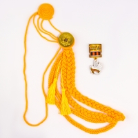 Карнавальный набор &laquo;На парад победы&raquo;: аксельбант, значок, цвет золотой