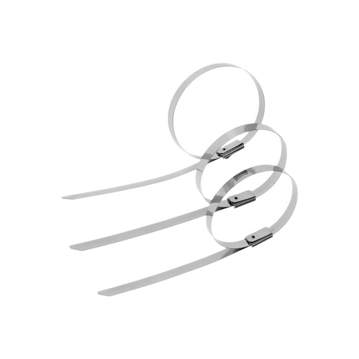 Стяжки из нержавеющей стали ТУНДРА, 4.6x200 мм, 100 шт. Стяжки из нержавеющей стали ТУНДРА, 4.6x200 мм, 100 шт.