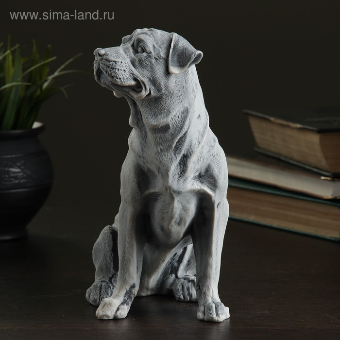 Сувенир "Ротвейлер (большой)" 19,5см