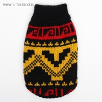 Свитер, размер 6 (24-28 см), микс расцветок Свитер, размер 6 (24-28 см), микс расцветок