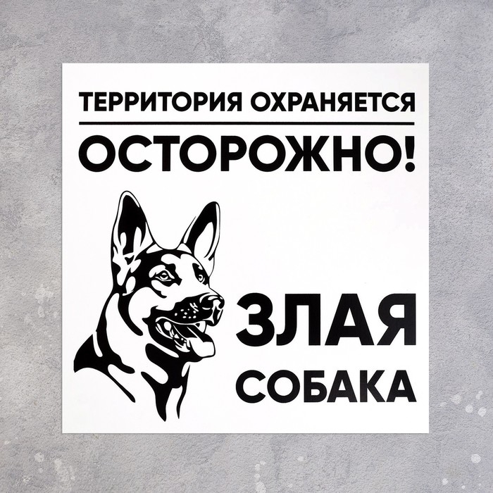 Табличка &laquo;ЗЛАЯ СОБАКА&raquo; 200&times;200, клейкая основа