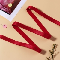 Резинка для бретелей, блестящая, 10 мм, 10 ± 0,5 м, цвет красный Резинка для бретелей, блестящая, 10 мм, 10 ± 0,5 м, цвет красный