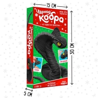 Набор для творчества &laquo;Чёрная кобра&raquo;, из проволоки