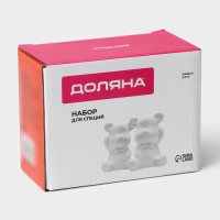 Набор для специй Доляна &laquo;Стильный мишка&raquo;, 2 предмета: солонка 30 мл, перечница 30 мл, цвет белый