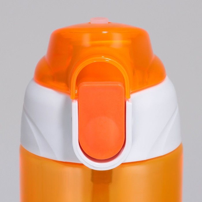 Бутылка для воды &laquo;Пушистый&raquo;, 600 мл