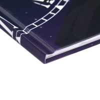 Дневник для 1-4 классов, "Аниме. Парень", твердая обложка 7БЦ, матовая ламинация, 48 листов