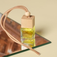 Ароматизатор подвесной в бутылочке размер XXL &laquo;Цитрус&raquo;