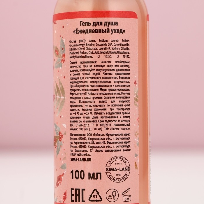 Подарочный набор косметики новогодний &laquo;Верь в мечту!&raquo;, гель для душа и пена для ванны, 2 х 100 мл, Новый Год