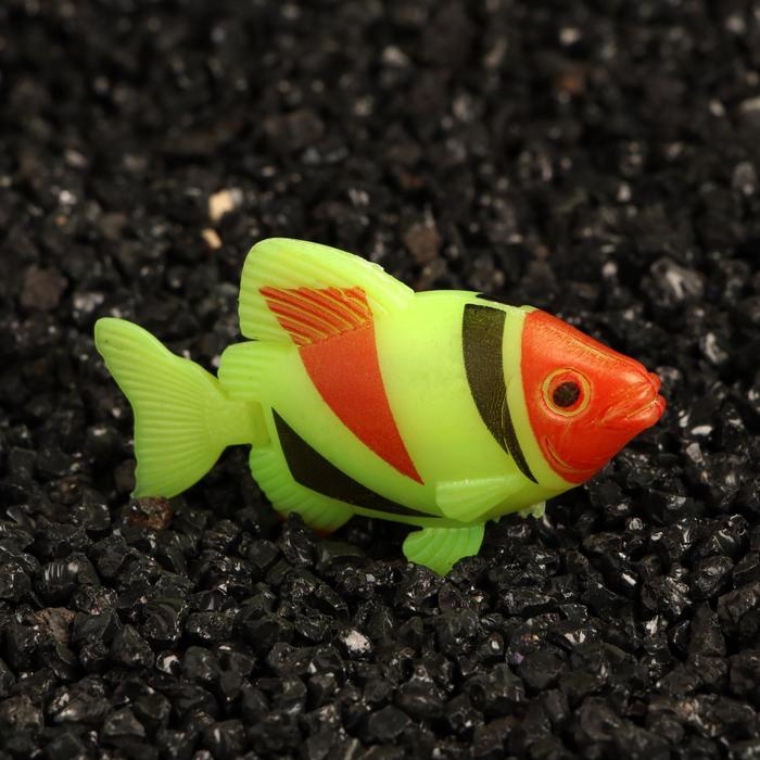 Декор для аквариума Декор для аквариума "Рыбки", набор 5 шт, 5,5 х 4,2 х 1,7 см