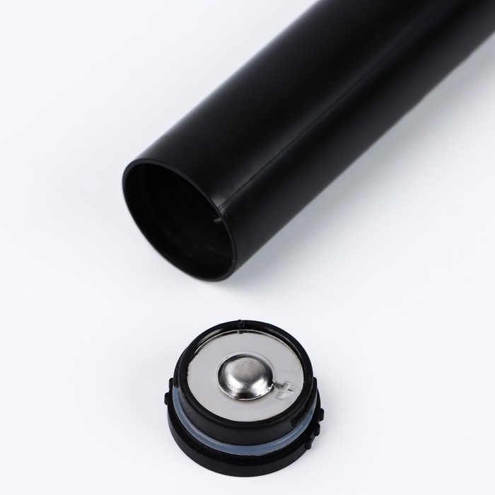 Электрическая новогодняя зубная щётка &laquo;Новый год: Символ года&raquo;, на Новый Год, мод LСT-01, 19 х 2,5 см