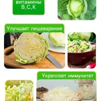 Семена Капуста белокочанная "Подарок", 0,3 г