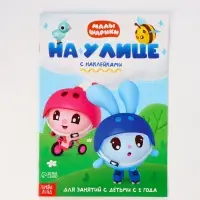 Книги &laquo;Годовой курс&raquo;, набор 12 книг, Малышарики