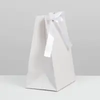 Пакет подарочный с лентой, упаковка, &laquo;Белый&raquo;, 13 х 19 х 9 см