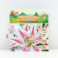 Лилия Восточная Lovely Day, луковица в пакете с перфорацией, р-р 12/14, 2 шт.