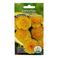 Семена Цветов однолетние Бархатцы "Джипси саншайн", отклонённые, махровые, 0,2 г