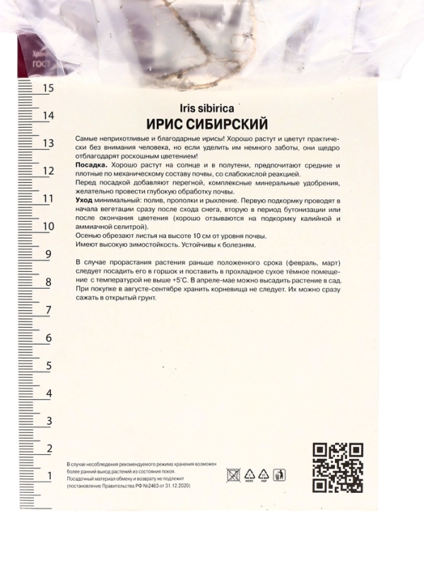 Ирис сибирский Диэ Дилайт, р-р I, 1 шт, Весна 2025