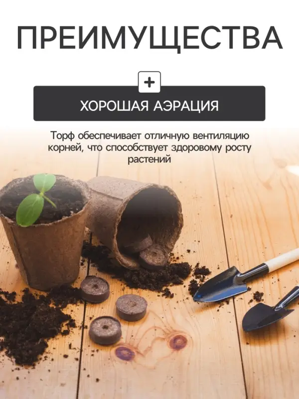 Набор для рассады: торфяной горшок 6&times;6 см, кассета на 6 ячеек, 17.5&times;13.5 см, Greengo