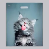 Пакет &laquo;Кот&raquo;, полиэтиленовый, с вырубной ручкой, 38&times;45 см, 60 мкм