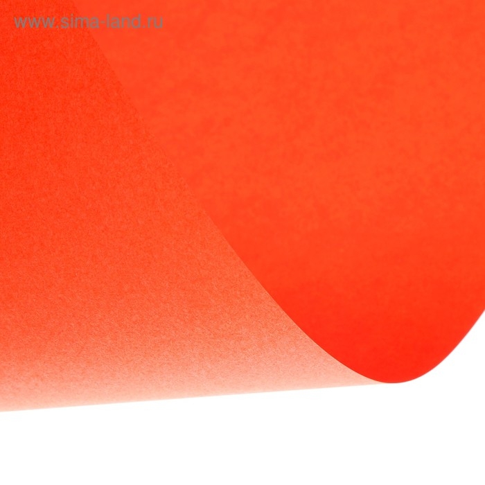 Бумага цветная А4, 12 листов, 12 цветов Calligrata, тонированная в массе, 80 г/м&sup2;