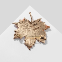 Брошь &laquo;Лист&raquo; осенняя пора, цвет оранжево-жёлтый в золоте