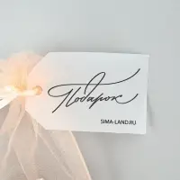 Мешочек подарочный из фатина с термонаклейкой &laquo;Бант&raquo;, 11 х 16 см +/- 1.5 см