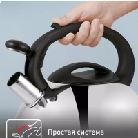 Чайник для плиты из нержавеющей стали C7922024, 3 л