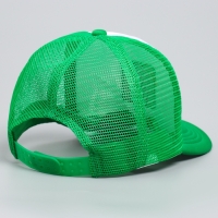 Кепка детская для мальчика &laquo;Крутой дино&raquo;, р-р 52-54, 5-7 лет