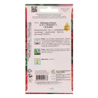 Семена цветов  Астра "принцесса Сильвия", 90 шт