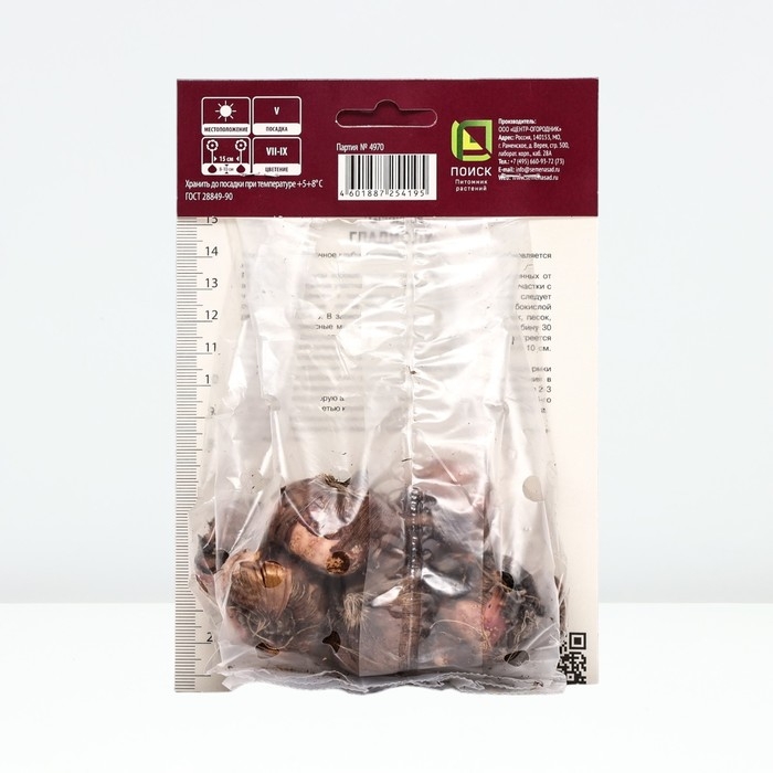 Гладиолус крупноцветковый &laquo;Малер&raquo;, луковица цветов в пакет с перфорацией, р-р 10/12, 10 шт.