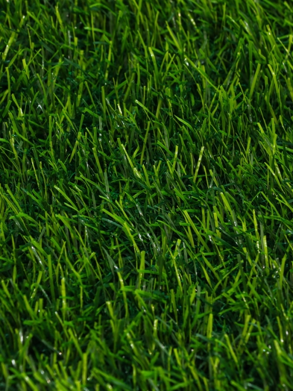 Газон искусственный,  с проклейкой, высота 3см, 12иг, 2 х 25м, зеленый, "Greengo"