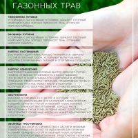 Семена газонной травы Hello grass, Sport Meister Gras, 10 кг