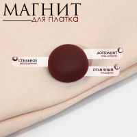 Магнит для платка &laquo;Минимал&raquo;, цвет матовый кирпичный в серебре